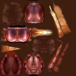 Red centipede skin. Red centipede skin.