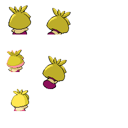 pmpl_238_back_m_r8161.png pmpl_238_back_m_r8161.png