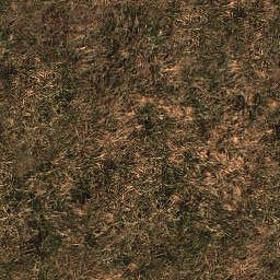 CSDS-Recoil_daank_grass.png_‎