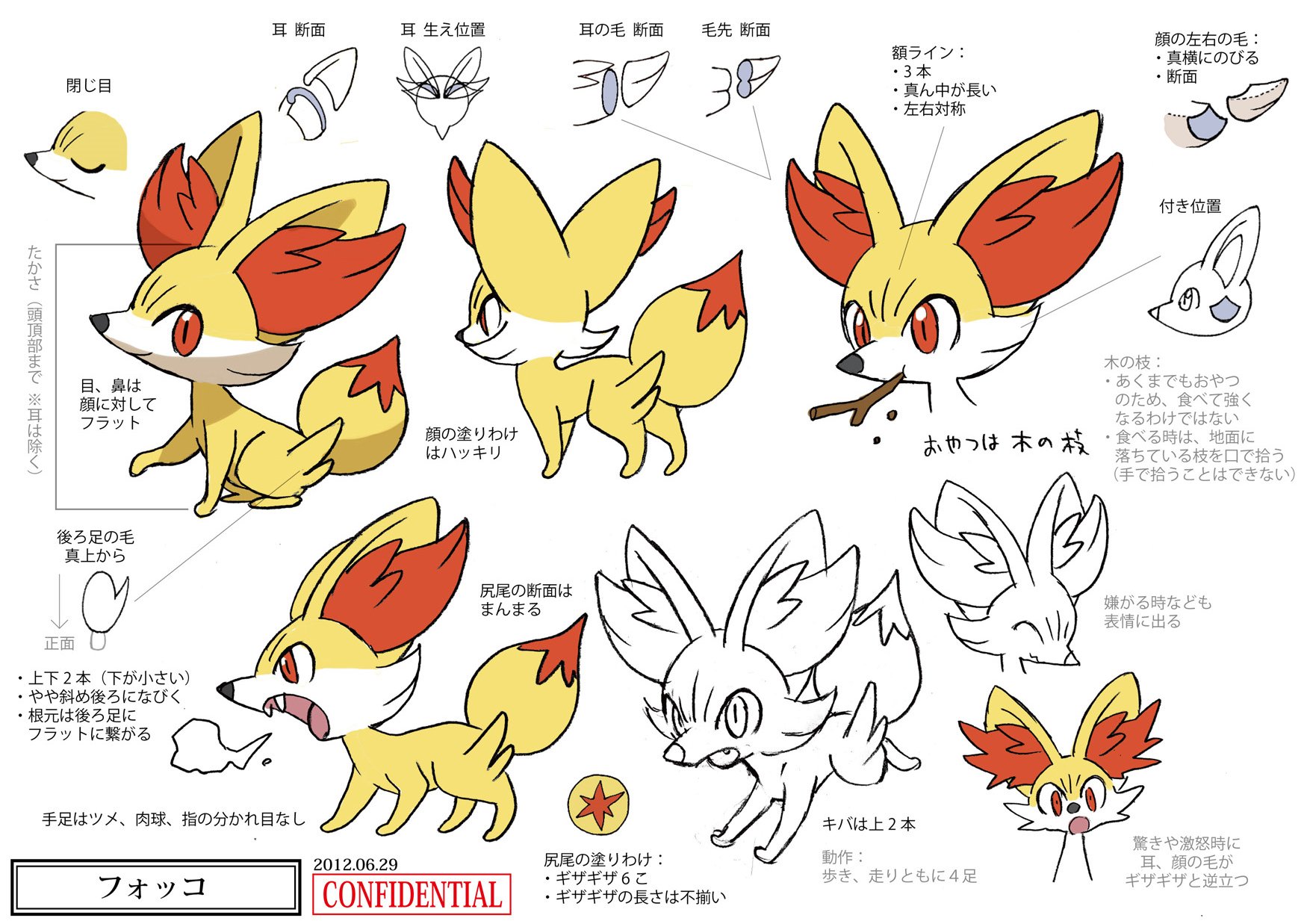 PokeXY_ConceptArt_フォッコ_三面図.png