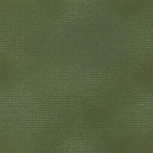 The cloth texture. The cloth texture.