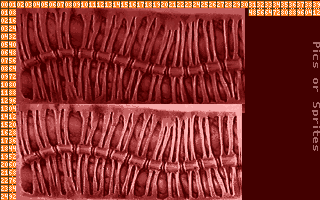 DevDoom1993-spine6_lbm.png