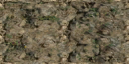 DungeonSiege2-b_t_for01_wal_08x04-b.png DungeonSiege2-b_t_for01_wal_08x04-b.png