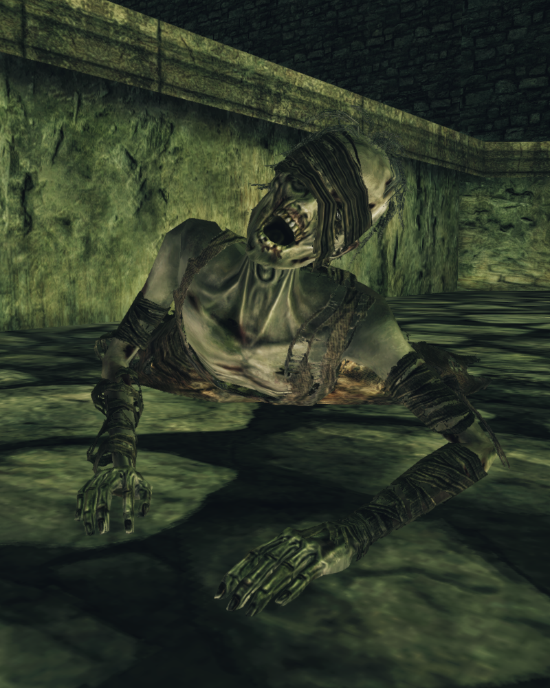 DSII-UndeadSupplicant-InstncClr0&1.png