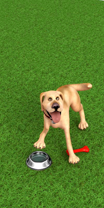 JohnDog-A17_00_-469.png_‎