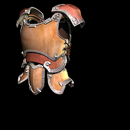 Leather Armor Leather Armor