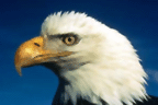 Hl_POSTER9.png Hl_POSTER9.png