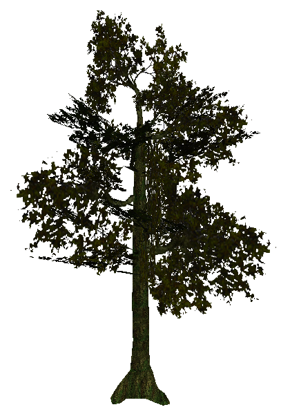 tree_jungle_06.mdl tree_jungle_06.mdl