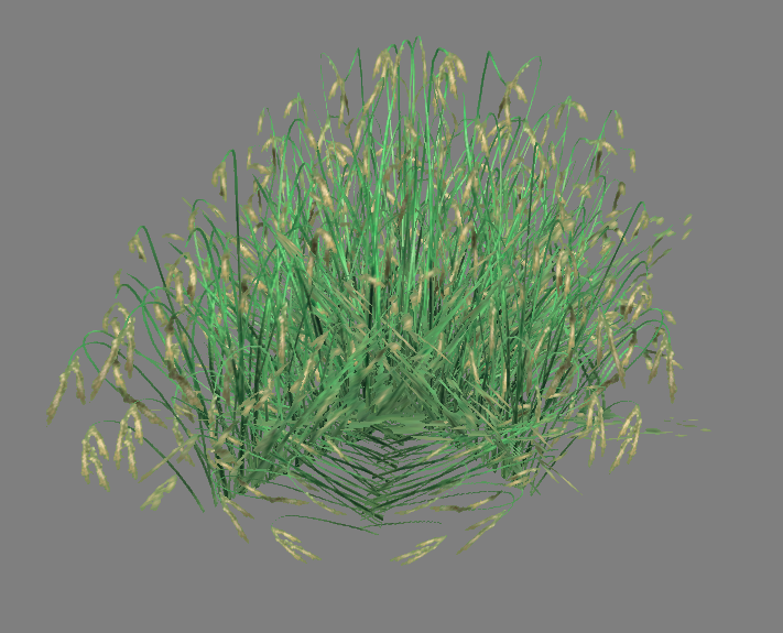 Tes4_RicePlant.png Tes4_RicePlant.png
