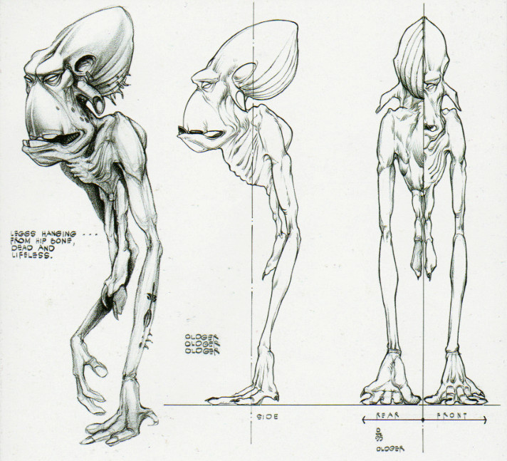 Glukkon anatomy drawings.