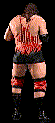 wwfwrestarc-A1TT5Z.gif