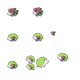 pmpl_516_frnt_flower_r802.png pmpl_516_frnt_flower_r802.png
