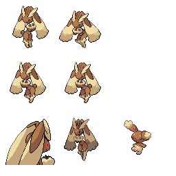 pmpl_454_frnt_m_r13035.png pmpl_454_frnt_m_r13035.png