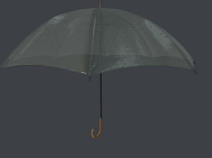 Umbrella's are not an inventory item for 47, so this goes unused.