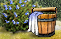 Bush is added to the right side.