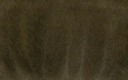 Hl_OUT_TNT2.png Hl_OUT_TNT2.png