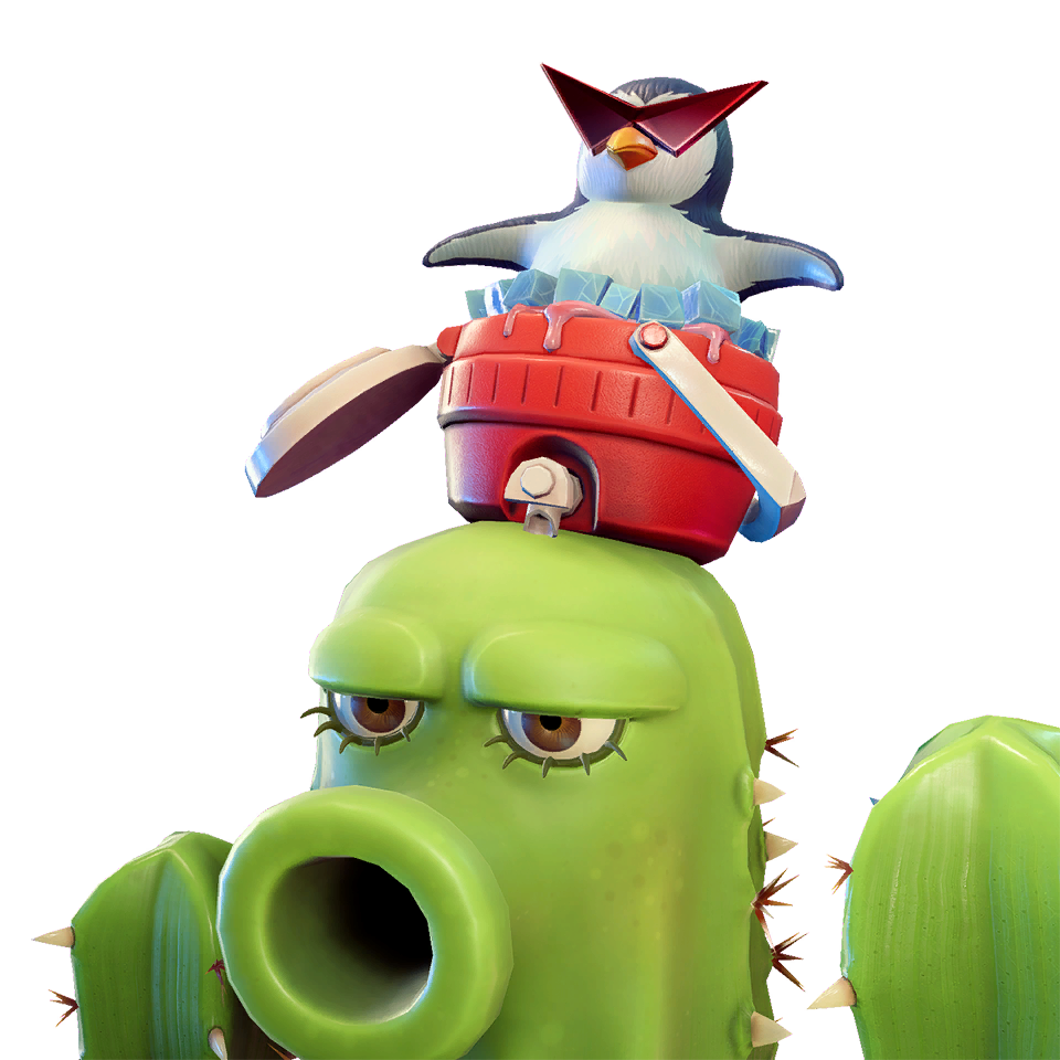 Cactus