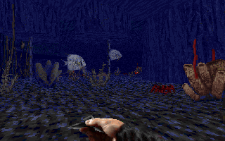 swsep95_e1l8_11.png swsep95_e1l8_11.png