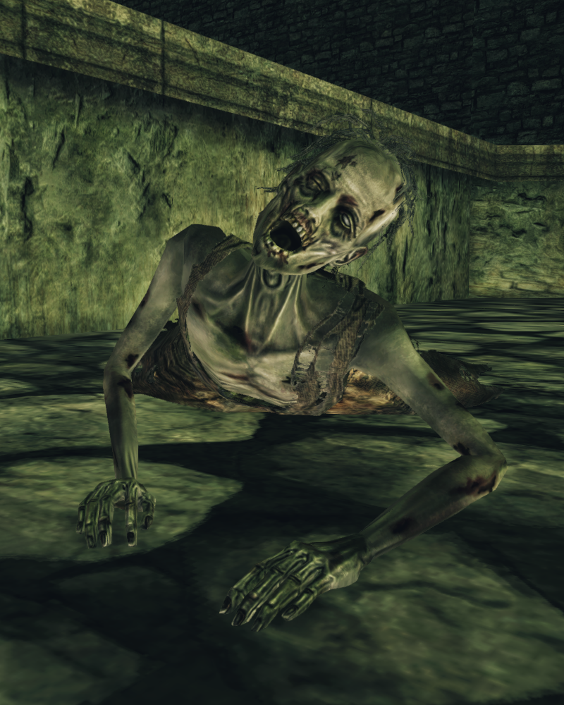 DSII-UndeadSupplicant-InstncClr8.png