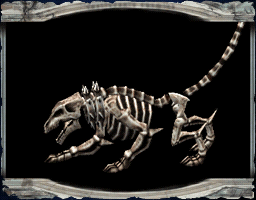 CoD_Wolf-Skeleton-unreferencedpic_01.png