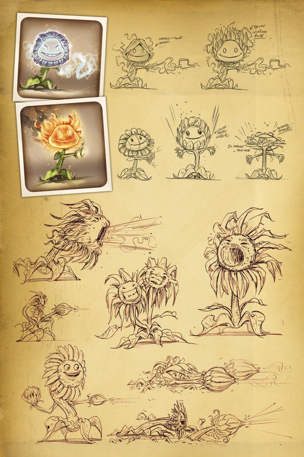 Pvzgw_conceptartsunflower.jpg Pvzgw_conceptartsunflower.jpg