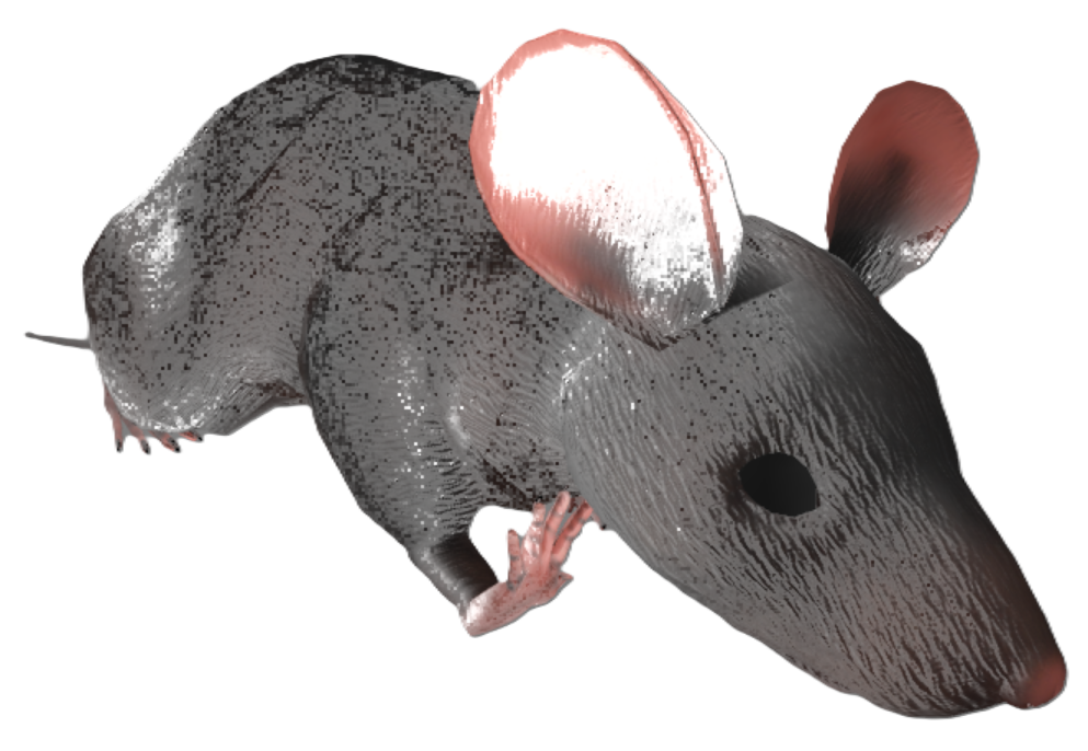 RatRoom RatRoom
