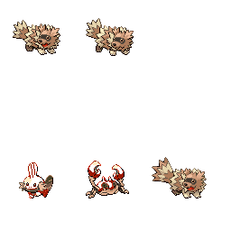 pmpl_263_frnt_m_r802.png pmpl_263_frnt_m_r802.png