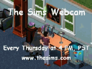 Ts1_simwebcam81899.gif