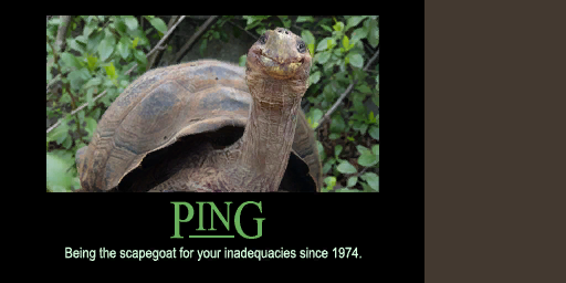 CSS-cs_havana-poster01ping.png CSS-cs_havana-poster01ping.png