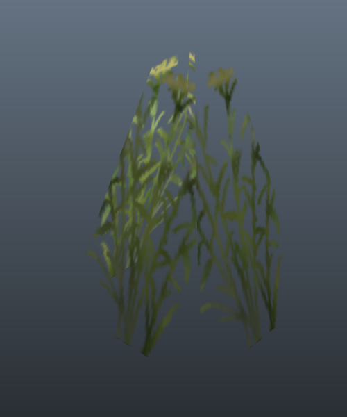 grass1_2