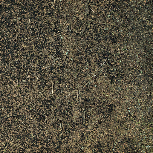 HL2EP2-nature-forest_dirt_03.png