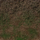 Texture029.png