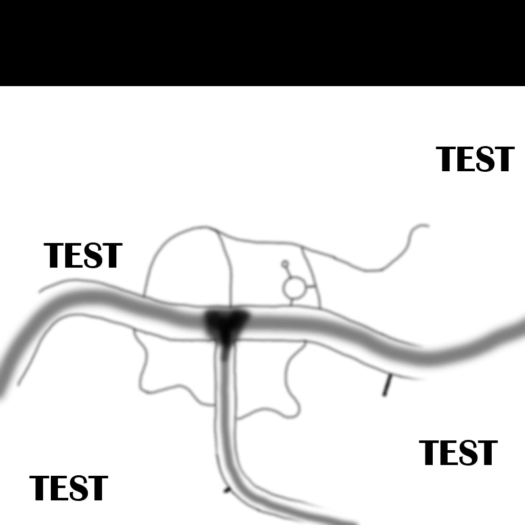 test weather/high map test weather/high map