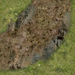 DungeonSiege-b_t_for02_rvr_08x08-trn.png
