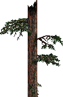 swjan95_0372.png
