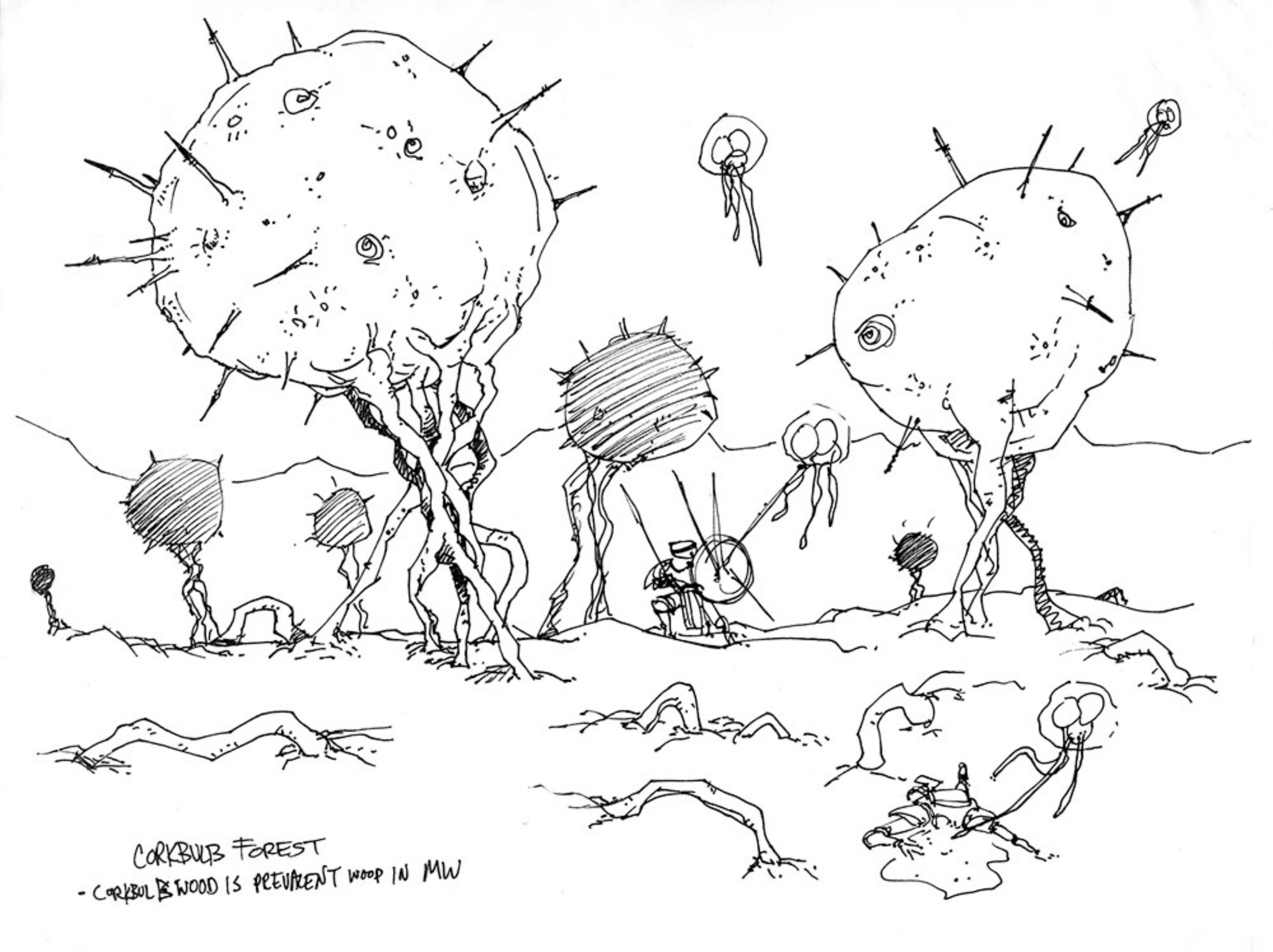 MWCA_CorkbulbForest.png