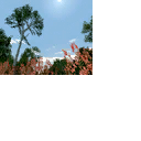 CMR04_xbox_final_icons_aus_s6.png