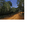 CMR04_xbox_demo_icons_aus_s5.png