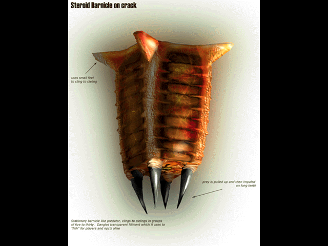 HL_Concept_Barnacle1.png