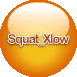 ASCSSquat_Xlow.png