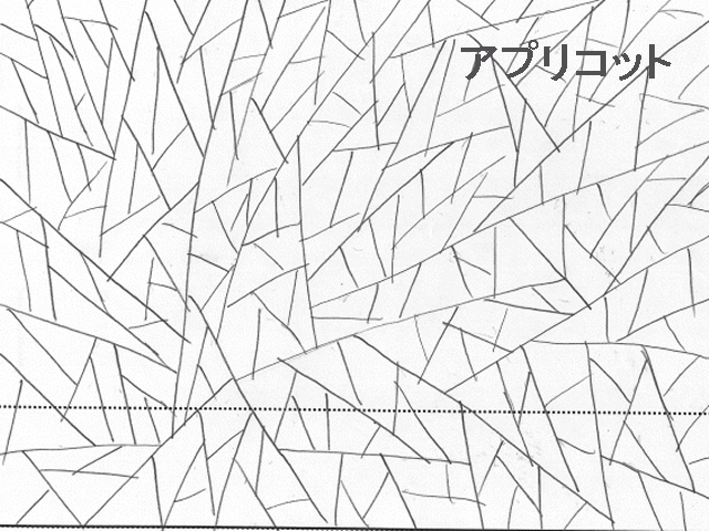 Galaxy_Angel_II_Eigou_-_iv08_31j.agi.png Galaxy_Angel_II_Eigou_-_iv08_31j.agi.png