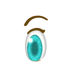 FSANT_eye_1.png