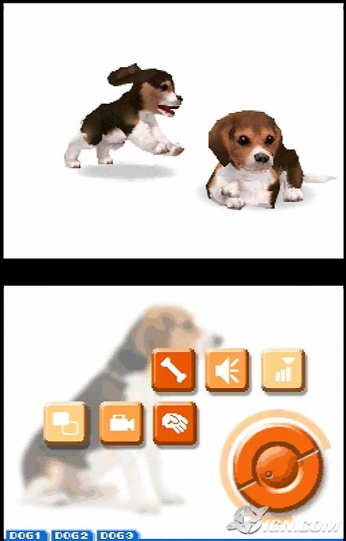 NintendogsTechDemoScreen4.png NintendogsTechDemoScreen4.png