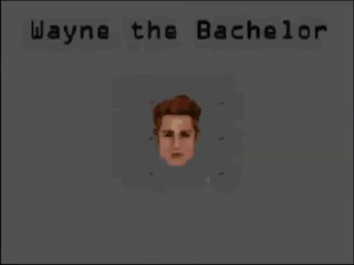 Ts1_simwebcam7899.gif