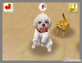NintendogsFebruary2005Screenshot9.jpg NintendogsFebruary2005Screenshot9.jpg