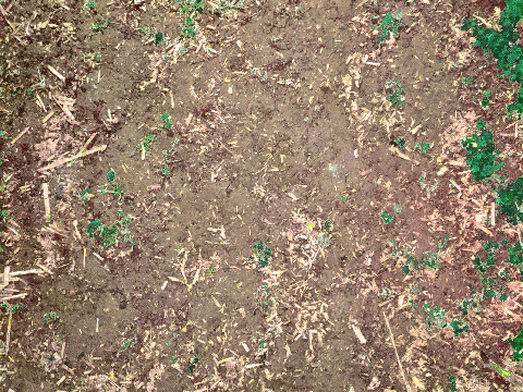 The farm field trip's ground texture. The farm field trip's ground texture.
