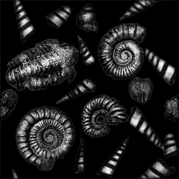 Lbp3_r513946_pp_ammonite_fossil_spec.tex.png