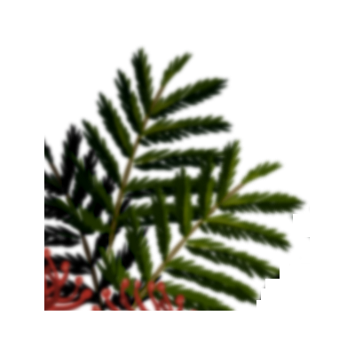 MDV_Toki_(26).PNG MDV_Toki_(26).PNG