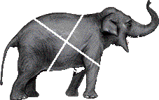 GiggleGangWT_PokeProd_IndiaElephant.png GiggleGangWT_PokeProd_IndiaElephant.png