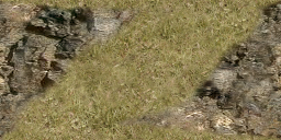 DungeonSiege-b_t_grs02_wal_08x04-c.png